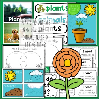 Needs of a Plant Posters | Basic Needs of Plants by Four Cheeky Monkeys