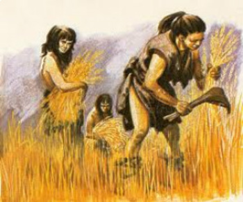 neolithic era farming