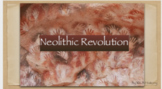 Neolithic Revolution Vocabulary Slides and Quiz