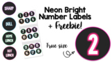 Neon Bright Labels + Numbers