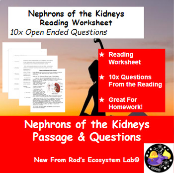Preview of Nephrons of the Kidneys Reading Worksheet **Editable**