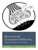 Nerve Impulse Physiology (Action Potentials) & Reflex Arcs