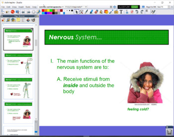 Preview of Nervous & Integumentary Systems - Flipchart Presentation
