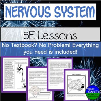 Preview of Nervous System 5E Lesson Plans