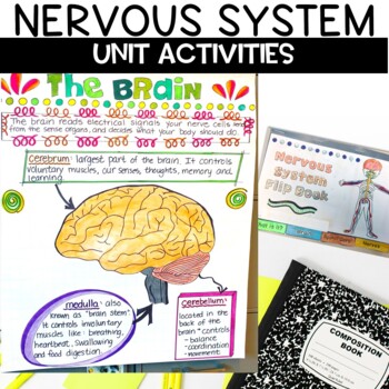Preview of Nervous System Activities