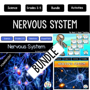 Preview of Nervous System Activities Bundle: Reading Passages Worksheets Review Flip Book