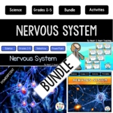 Nervous System Activities Bundle: Reading Passages Workshe