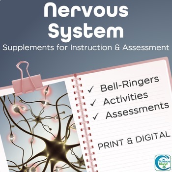 Preview of Nervous System Activities, Bell-Ringers, and Assessments for A&P