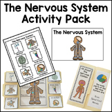 Nervous System Activity Bundle Human Body Activities
