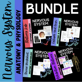 Preview of Nervous System Anatomy Bundle