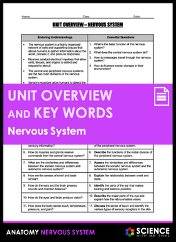 Preview of Nervous System Anatomy Unit Overview and Vocabulary Key Words