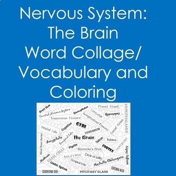 Preview of Nervous System:  Brain Word Collage (Vocabulary, Coloring, Anatomy, Psychology)