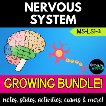 Preview of Nervous System Bundle