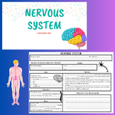 Nervous System Bundle