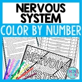 Nervous System Color by Number, Reading Passage and Text Marking