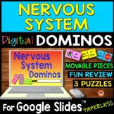 Nervous System DIGITAL DOMINOS for Google Slides