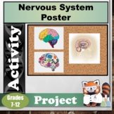 Nervous System Disorder Poster
