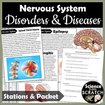 Preview of Nervous System Disorders and Diseases Stations