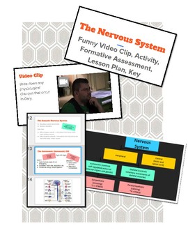 Preview of Nervous System & Endocrine System: Funny Vid Clip, Notes, Activity