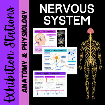 Preview of Nervous System: Exhibition Stations