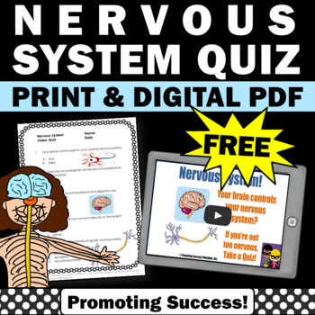 Preview of FREE Nervous System 5th Grade Science Vocabulary Quiz Human Body Systems Video