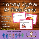 Nervous System Flash Cards