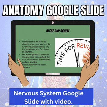 Preview of Nervous System Google Slides Lecture with Video Lesson