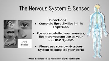 Preview of Nervous System HyperDoc