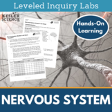 Nervous System Inquiry Labs