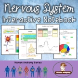 Nervous System Interactive Notebook