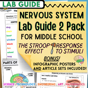 Preview of Nervous System Lab Bundle for Middle School: Response to Stimuli & Stroop Effect