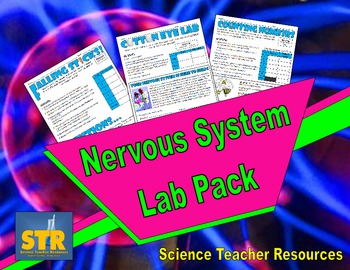 Preview of Nervous System Lab Pack!