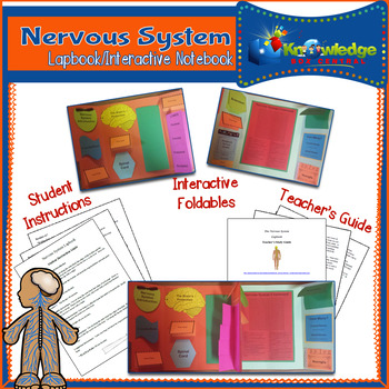 Preview of Nervous System Lapbook/Interactive Notebook