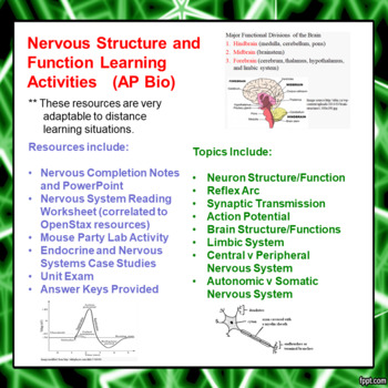 Preview of Nervous System Learning Activities AP Biology (Distance Learning)