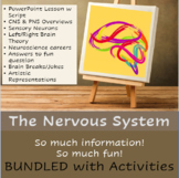 Nervous System Lesson w/ Script and Activity Bundle