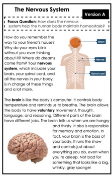 Preview of Nervous System Leveled Text Set Booklets