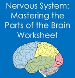 Nervous System:  Mastering the Parts of the Brain Workshee