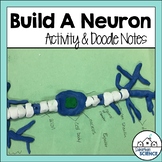 Nervous System - Nerves - Neuron Modeling Activity