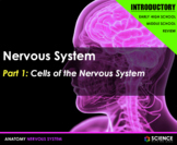 PPT - Nervous System Introduction + Student Notes - Distan