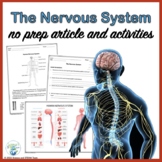 Nervous System Nonfiction Article and Activities