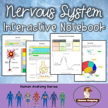 Preview of Nervous System Notes
