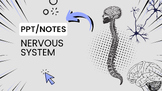 Nervous System PPT/Notes