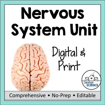 Nervous System Unit by Suburban Science | Teachers Pay Teachers