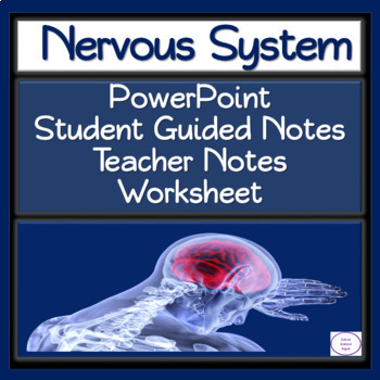 Preview of Nervous System PowerPoint, Student Guided Notes, and Worksheet