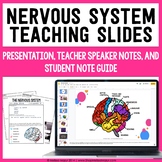 Nervous System Presentation and Student Note Guide - FREEBIE