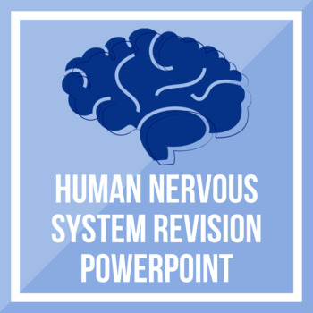 Preview of Nervous System Revision PowerPoint