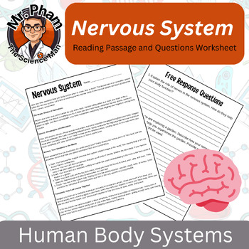 Preview of Nervous System Reading Passage and Questions Worksheet