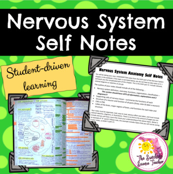 Preview of Nervous System Self Notes