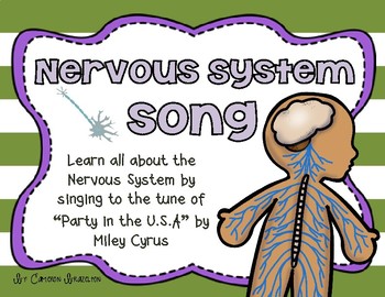 Preview of Nervous System Song (Brain and Spinal Cord)