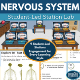 Nervous System Station Lab